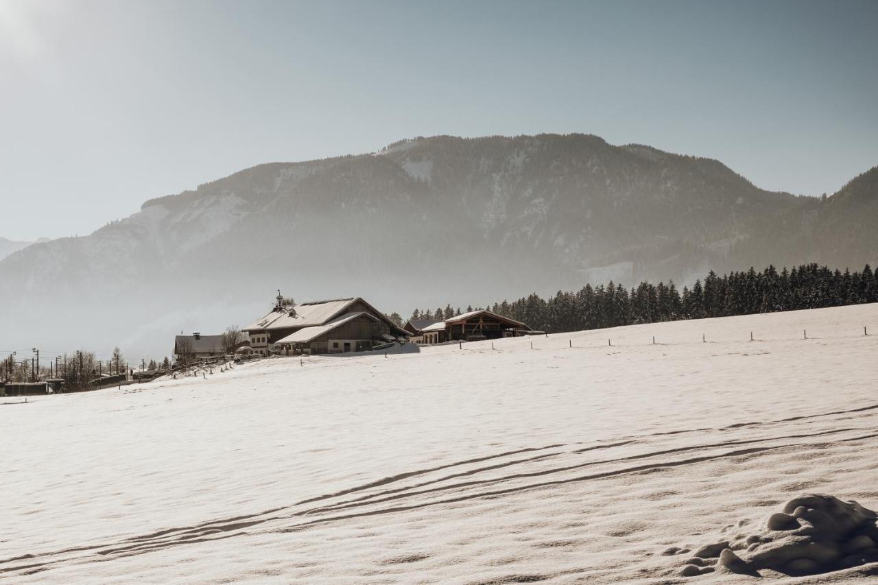 Bergblick Appartement Saalfelden Buitenkant foto