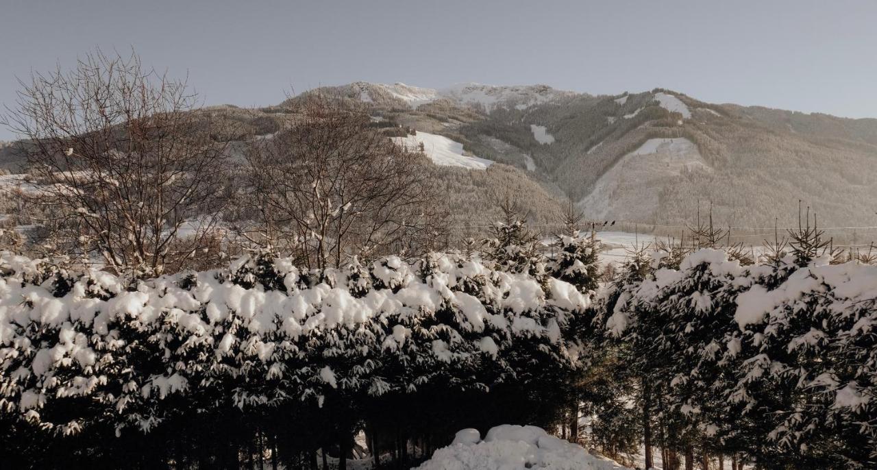 Bergblick Appartement Saalfelden Buitenkant foto