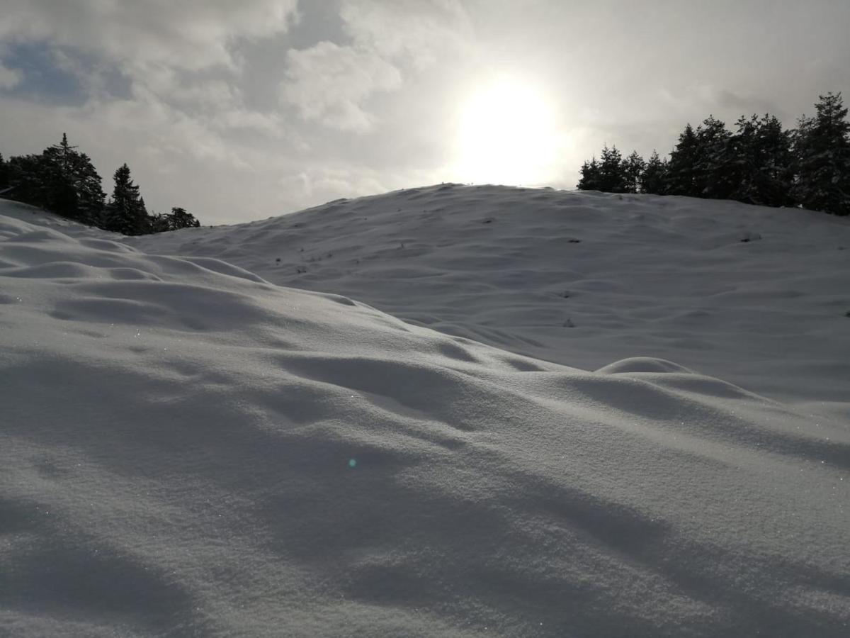Bergblick Appartement Saalfelden Buitenkant foto