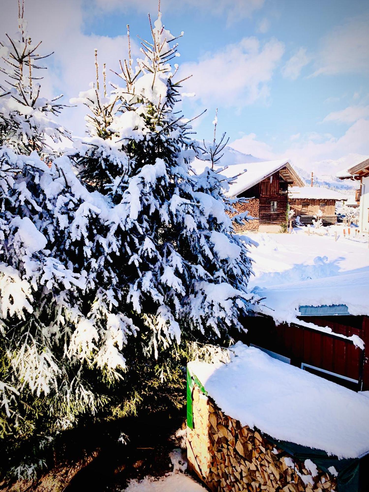 Bergblick Appartement Saalfelden Buitenkant foto