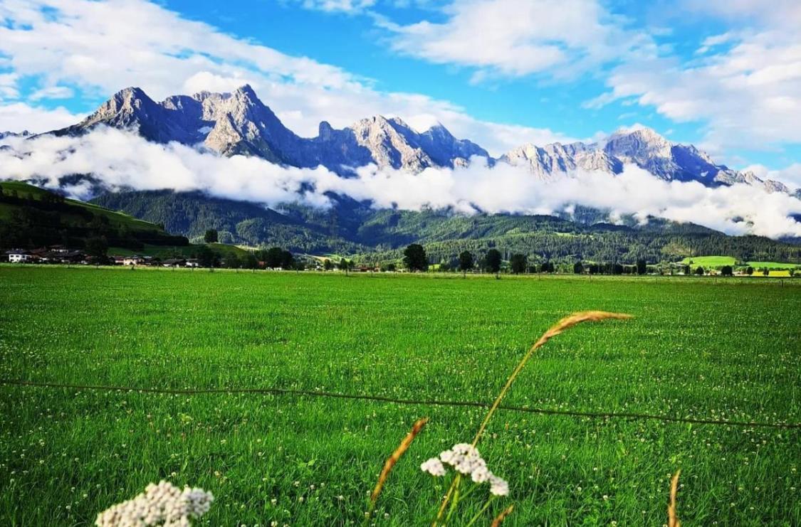 Bergblick Appartement Saalfelden Buitenkant foto